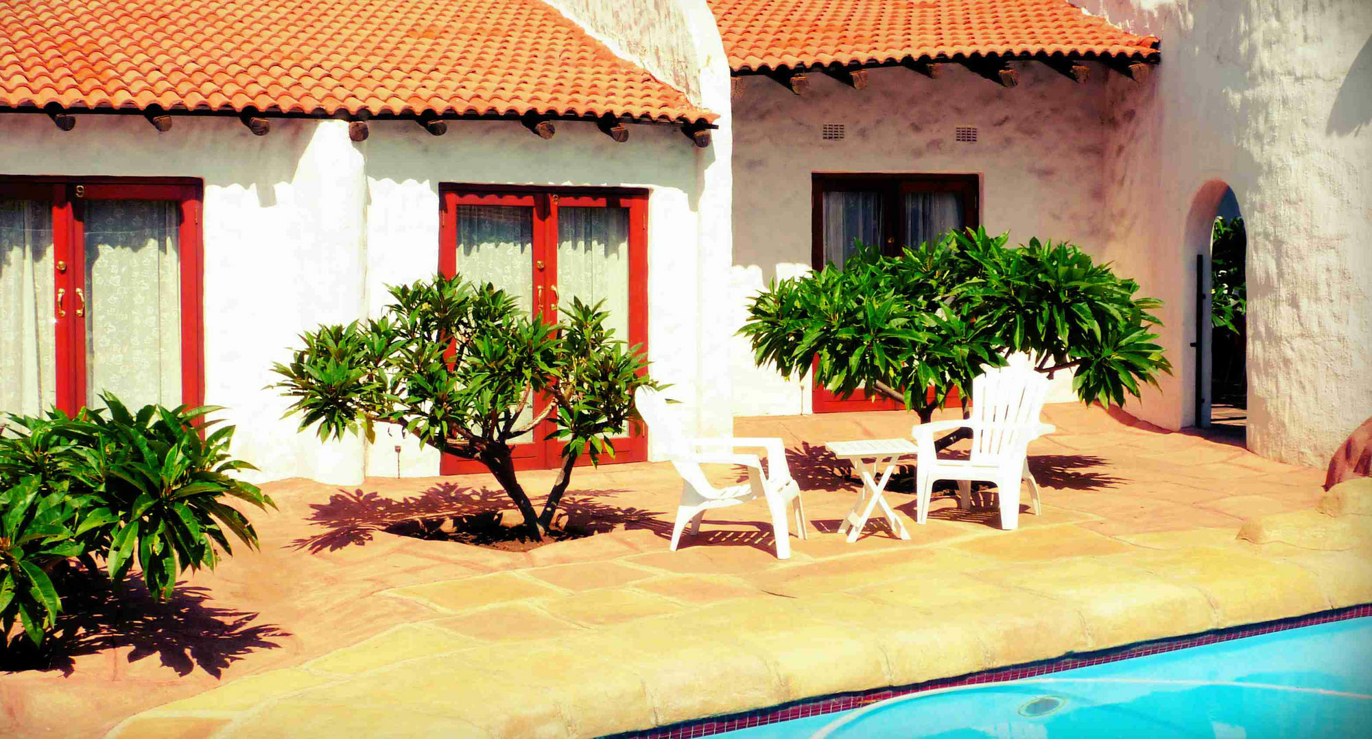By Bush Telegraph Lodge Johannesburg Kültér fotó